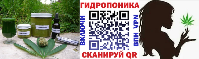 OMG ONION  Камешково  Еда ТГК конопля 